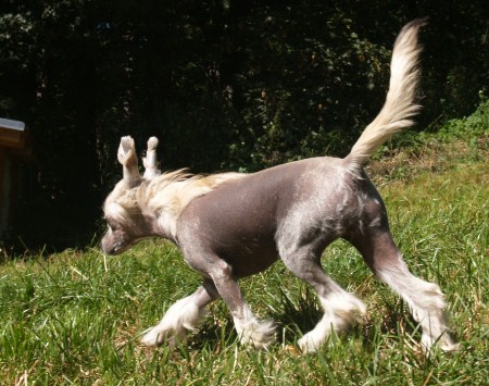 Obrazek